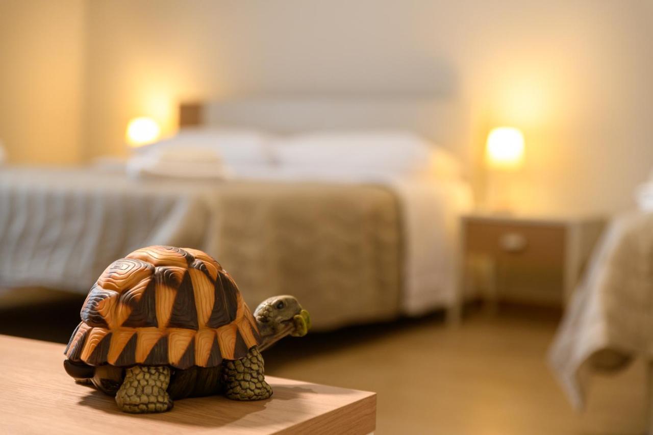 Bee Happy - Bed And Breakfast Zafferana Etnea Zewnętrze zdjęcie